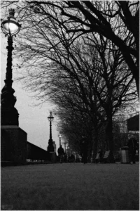 Eine stimmungsvolle, körnige Schwarz-Weiß-Aufnahme aus der Froschperspektive auf einer baumgesäumten Promenade. Links ragt im Vordergrund eine verzierte, historisch wirkende Straßenlaterne hoch auf, deren Licht hell leuchtet. Rechts bilden die kahlen Äste großer Bäume ein dichtes, dunkles Geflecht gegen den Himmel. Der Weg führt in die Tiefe, wo sich weitere Laternen und die dunklen Silhouetten von Spaziergängern verlieren.